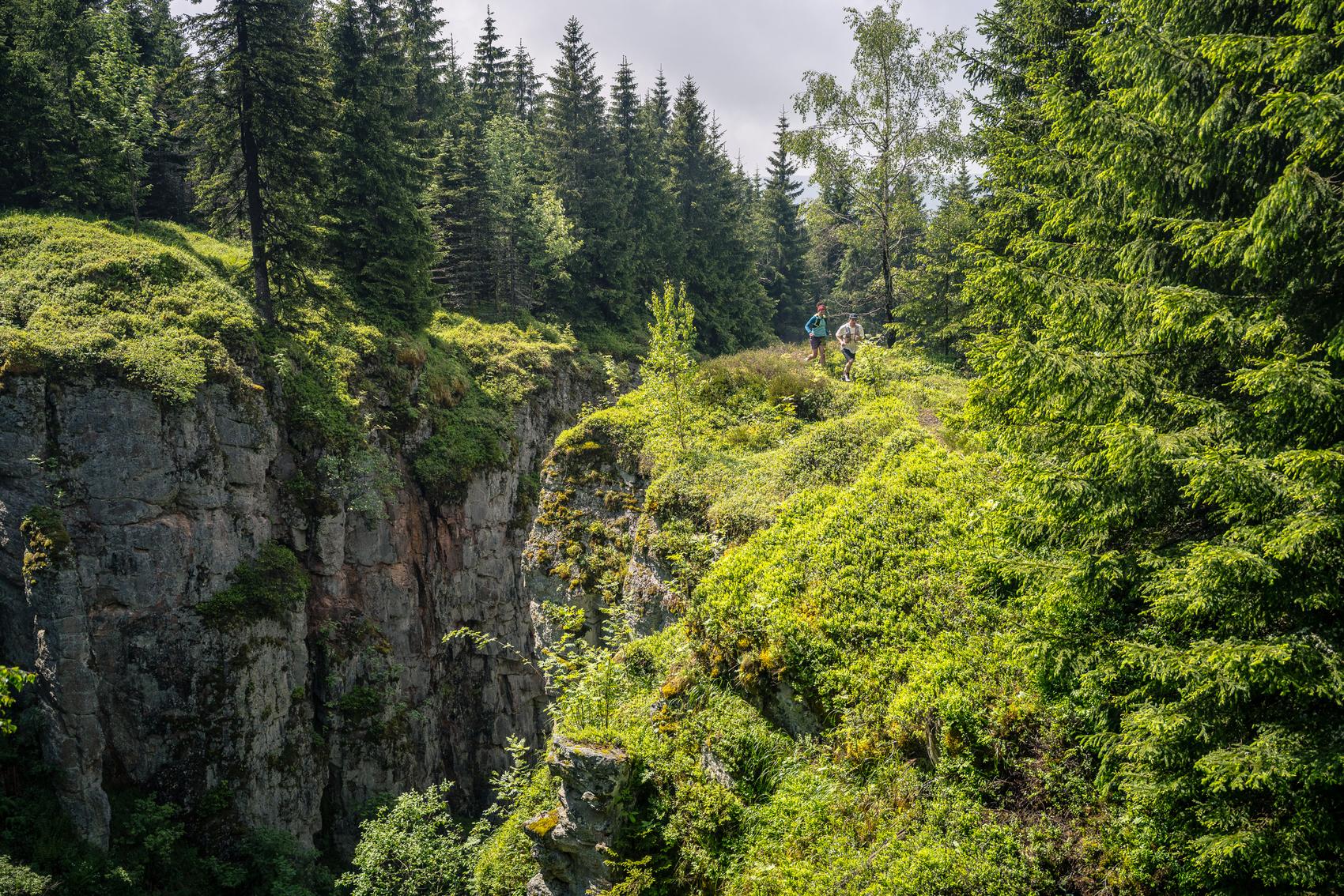 Montanregion Erzgebirge
