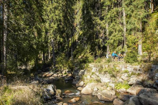 Mountainbike-Tour Stoneman Miriquidi MTB Abenteuer Erzgebirge Ore Mountains 12