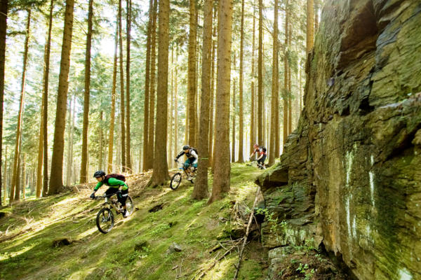 Mountainbike-Tour Stoneman Miriquidi MTB Abenteuer Erzgebirge Ore Mountains Trailcenter Rabenberg Felsen klein