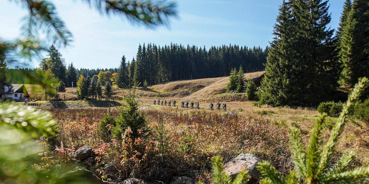 Mountainbike-Tour Stoneman Miriquidi MTB Abenteuer Erzgebirge Ore Mountains 3